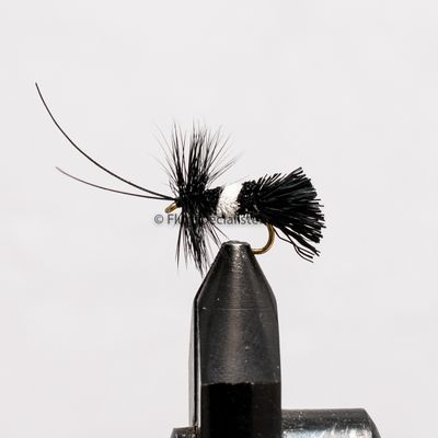 Goddard Caddis 