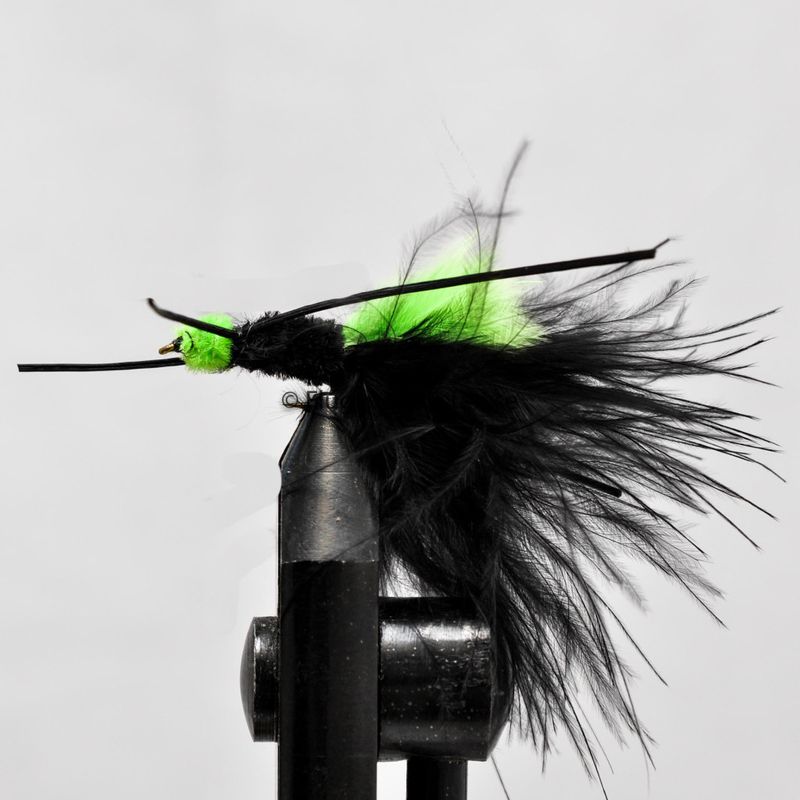 Montana crazy leg