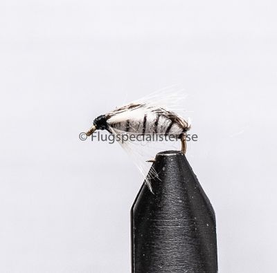 Corixa