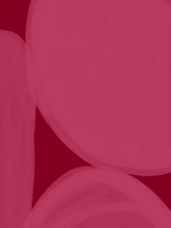 Colour Palette   Burgundy   6 Copy