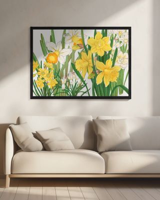 Daffodil No.2