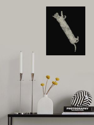 The Never Ending Stoned Cat