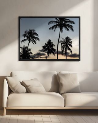 Silhouetted Palm Trees