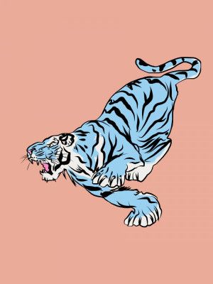 Blue Tiger Leaping Against A Soft Pink Background