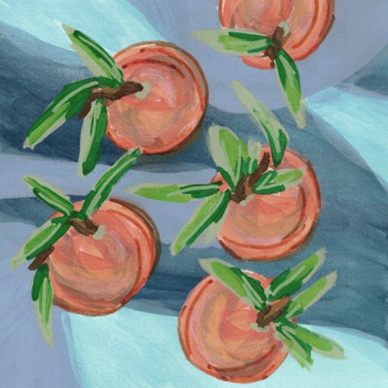 Clementines Pastel Orange