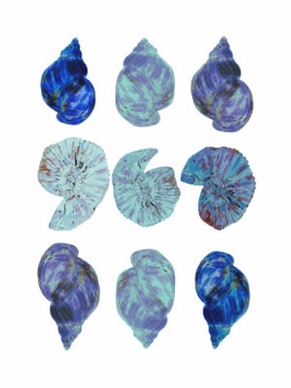 Blue Sea Shells Poster