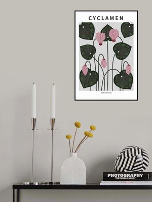 Cyclamen - National flower of Israel