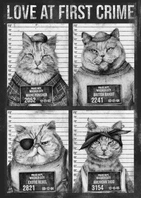 Love At First Crime