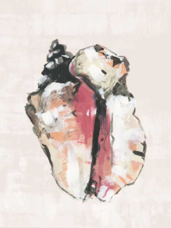 Shell Collector Art Print No 1