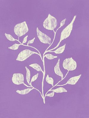 White Floral Whisper