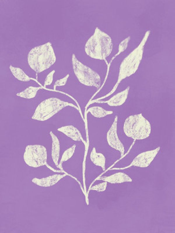 White Floral Whisper