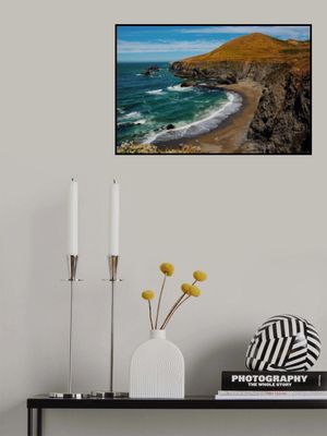 Sonoma Coast State Park