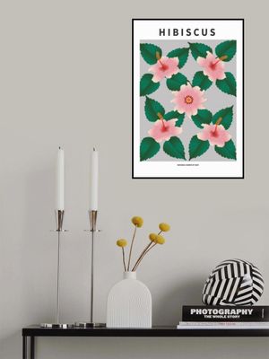 Hibiscus  - National flower of Haiti