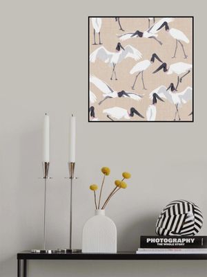 Dance of the Tuiuiui Sand