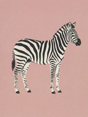 Zebra and Pink