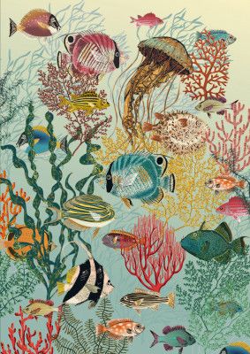 coral reef deep silence mint