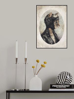 Stylish Cat Wearing A Leather Jacket