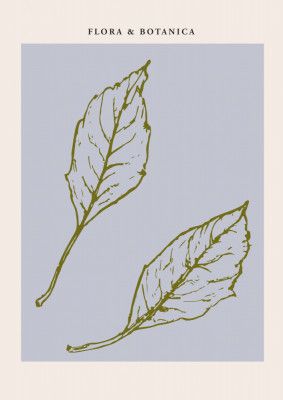 Florabotanicalineno05