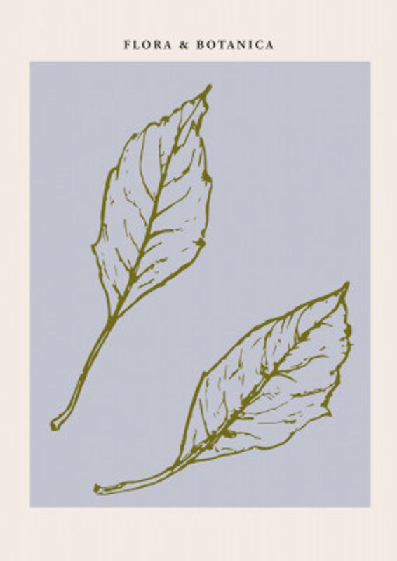 Florabotanicalineno05