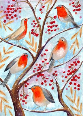 Winter birds robins Christmas snow