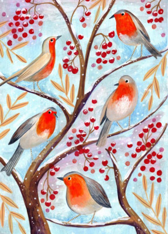 Winter birds robins Christmas snow