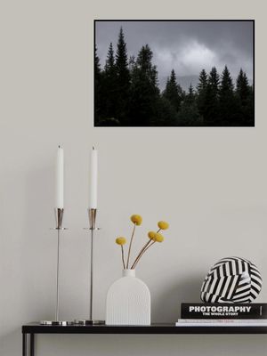 Mystical Forest Scene 2