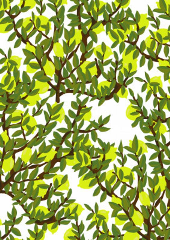 Lemon Tree Pattern