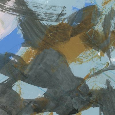 Lichen Fragment Study 1