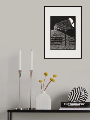 White–necked Crane