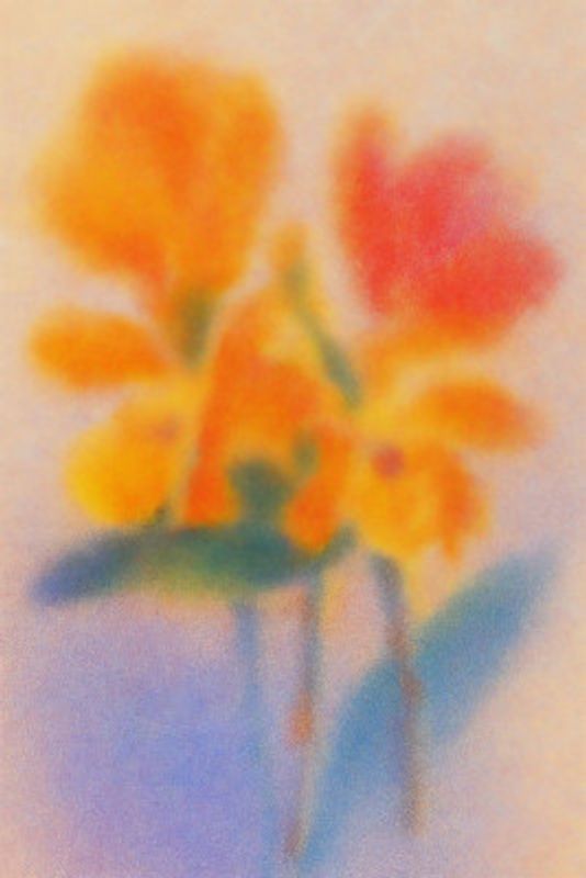 Citrus Blush Cluster