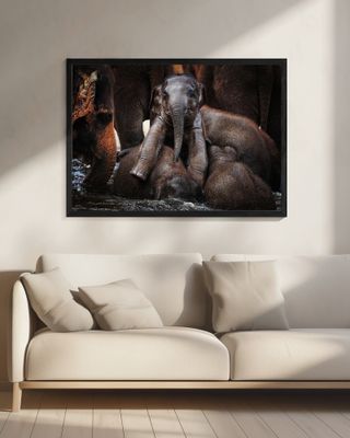 THE little PRINCE ....