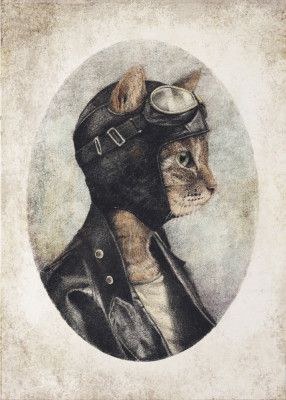 Stylish Cat Wearing A Leather Jacket