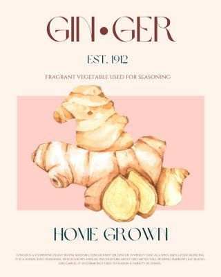 Watercolor illustration Of Ginger