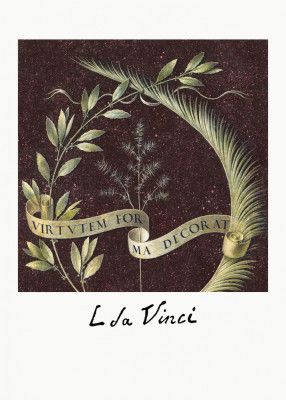 Virtutem Forma Decorat (ca.1474–1478