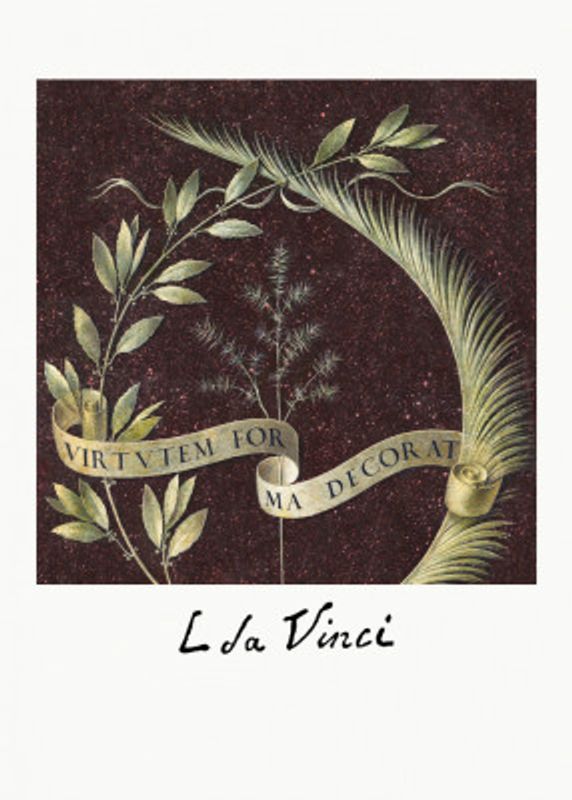 Virtutem Forma Decorat (ca.1474–1478