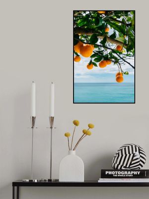 Amalfi Coast Oranges IV