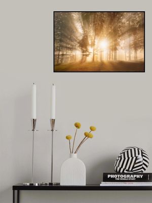 Blinded by the light