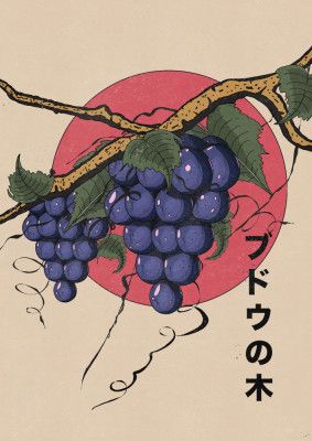 Grapes On A Vine