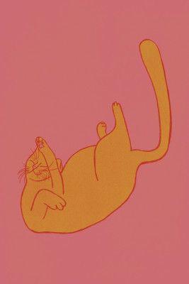 Playful Orange Cat