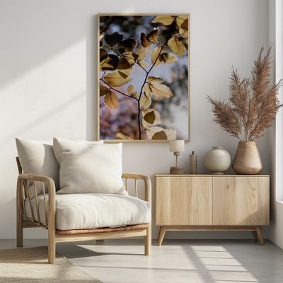 Backlit Golden Leaves