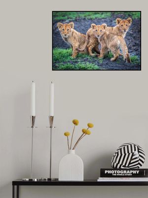 Awaiting mom's return