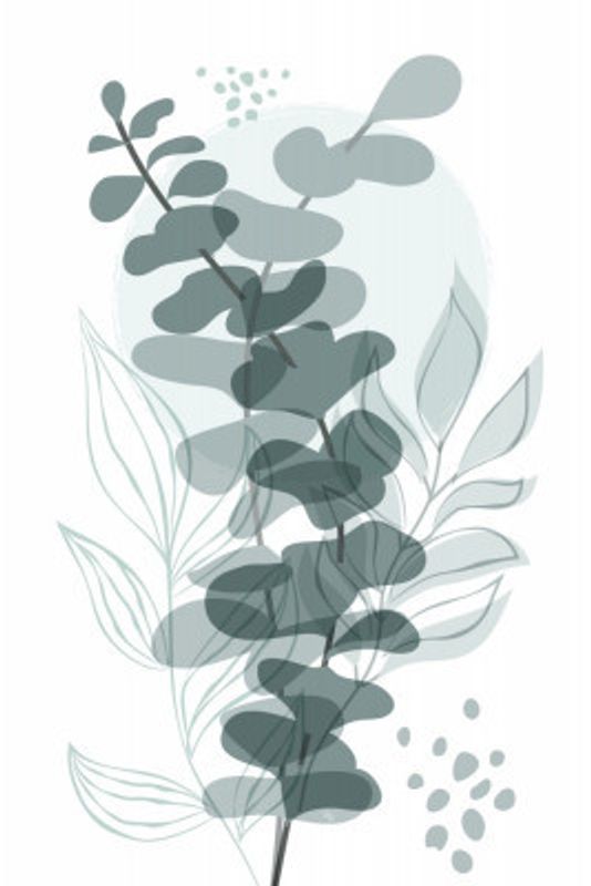 Eucalyptus Leaves Elegance