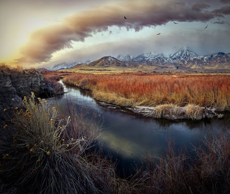 Owens River at Sunrise