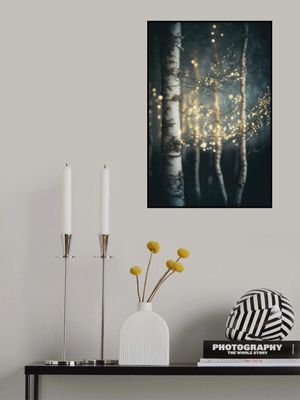 Twinkling Birch Grove