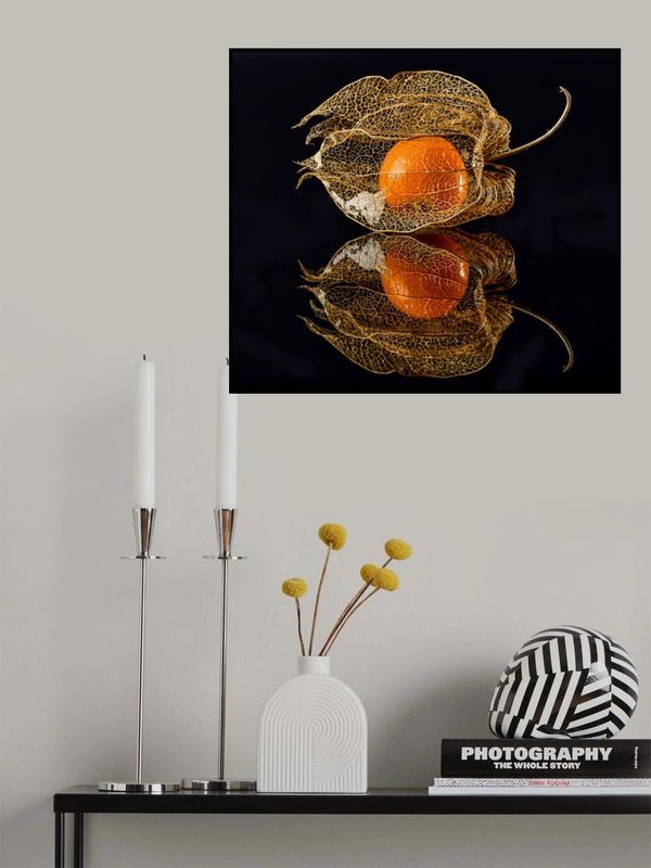 Physalis