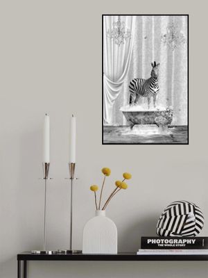 Zebra &amp; Bubbles Black &amp; White