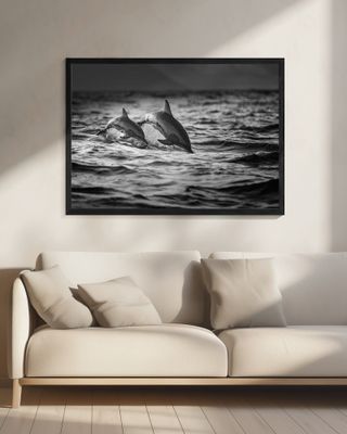 The Mother and the Baby