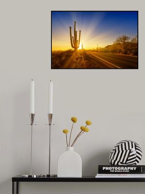 SAGUARO NATIONAL PARK Setting Sun