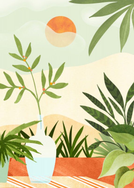 Bohemian Terrace Sunset