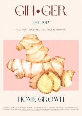 Watercolor illustration Of Ginger